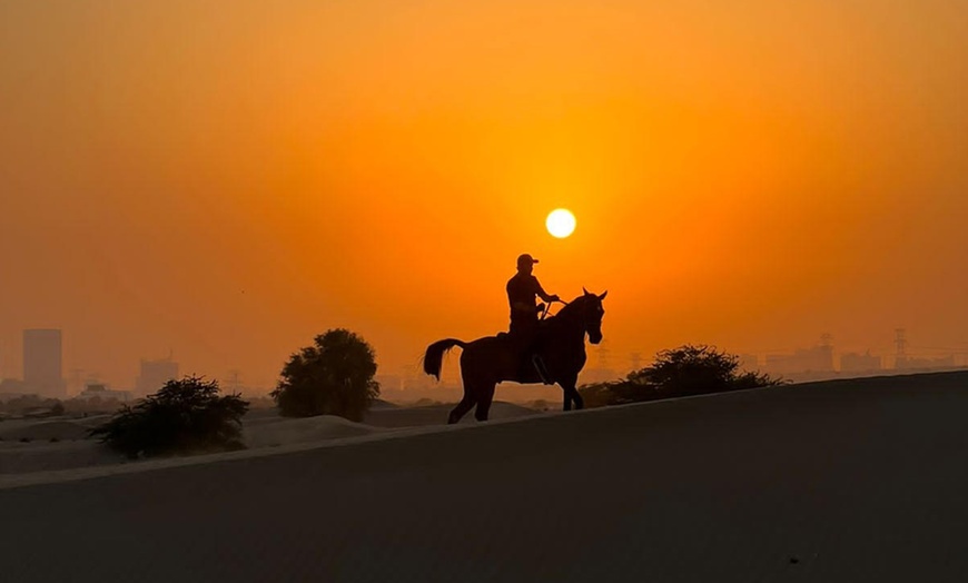 Image 4: Gallop Through the Sands with Desert Horse Riding for 1, 2, or 4