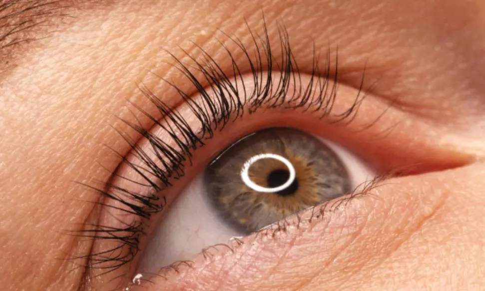 Brow Lift ou rehaussement des cils, teinture en option