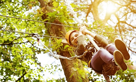 Parco Avventura Tree Experience di Rescaldina: intera giornata per adulti e bambini (sconto fino a 53%)