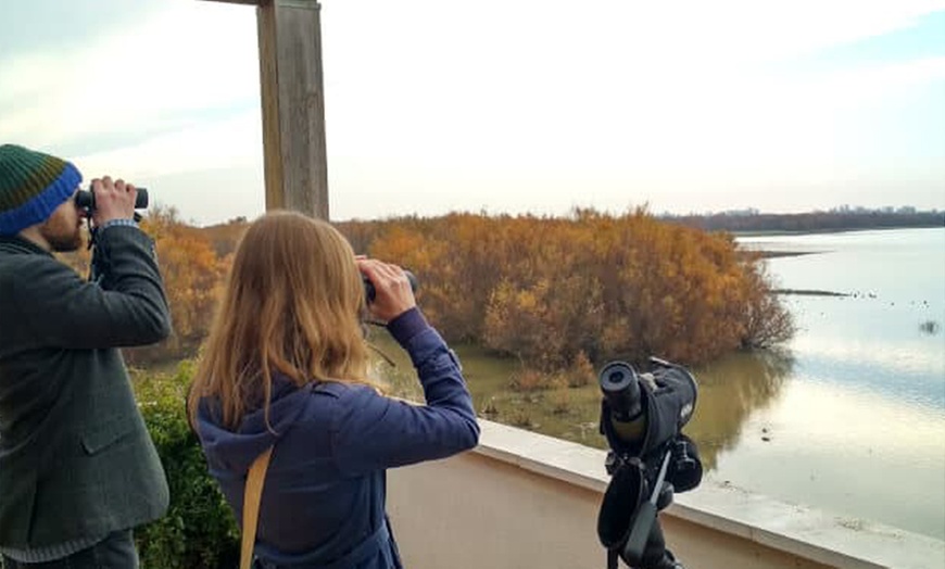 Image 1: Excursión para 2 o 4 personas a Doñana con Naturanda Turismo Ambiental