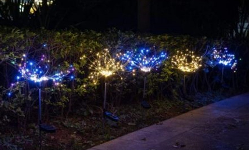 Image 4: One or Two Packs of Solar Fireworks LED Lights