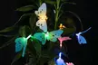 SolarEK Solar 12 LED Butterfly String Lights (2-Pack) - Second Medium