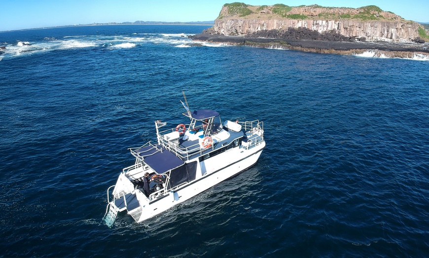 Image 3: Tickets to Whale Watching Cruise (Ages 6+)