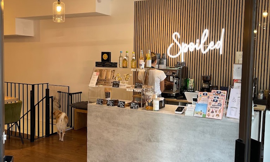 Image 12: Enjoy Dog Cafe Fun With a Drink for Up to Four in Kensington