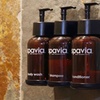 Image 5: Unwind in Luxury – Customized 60-Minute Signature Massage at Spavia