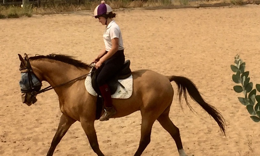 Image 2: Grooming & Horse Riding Session