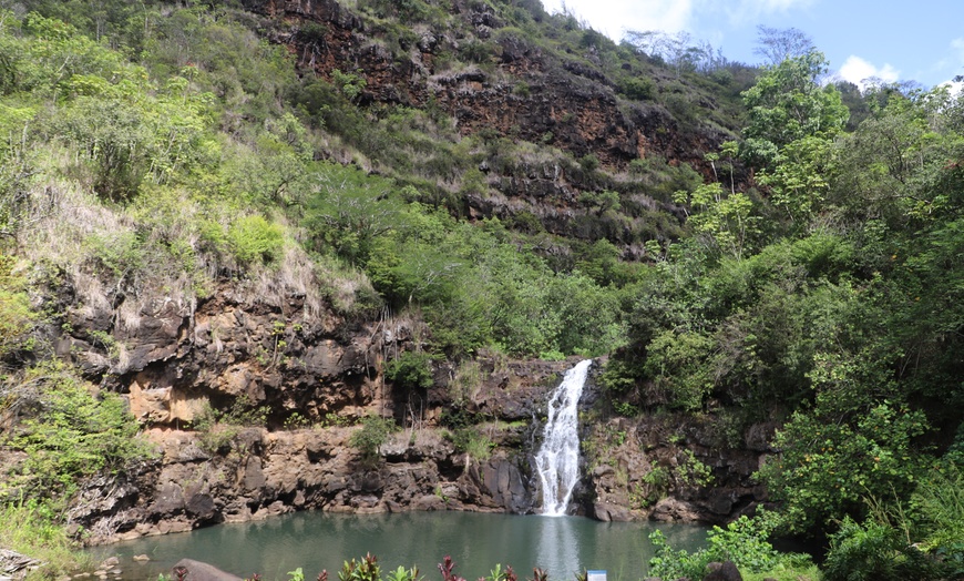 Image 1: WaimeaWaterfall Hike/Swim+ DolePlantationTour Breakfast&LunchIncluded
