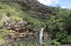 Waimea Waterfall Hike & Swim + Dole Plantation Tour (Breakfast & Lunch Included)
