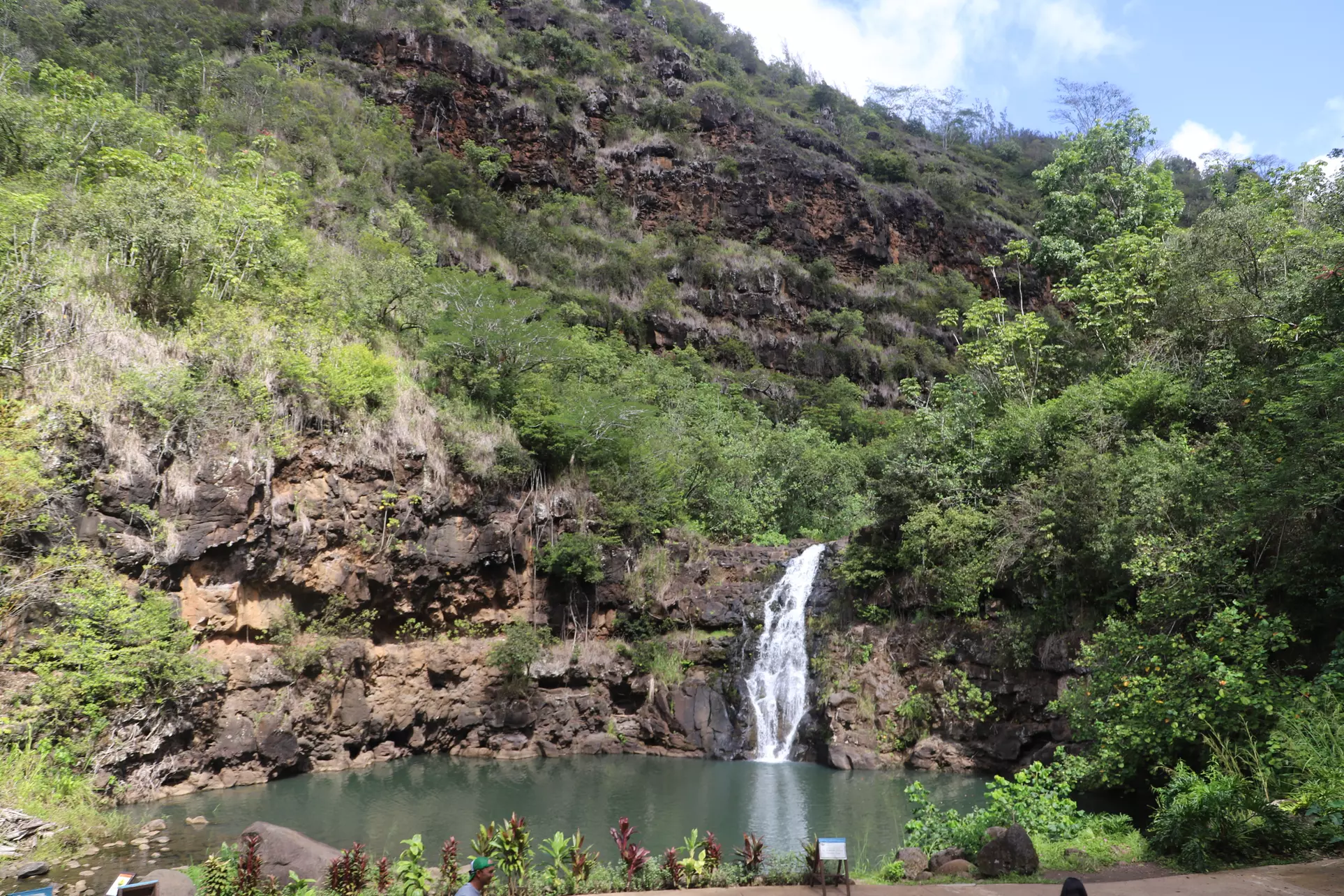 Waimea Waterfall Hike & Swim + Dole Plantation Tour (Breakfast & Lunch Included)
 - Primary Image