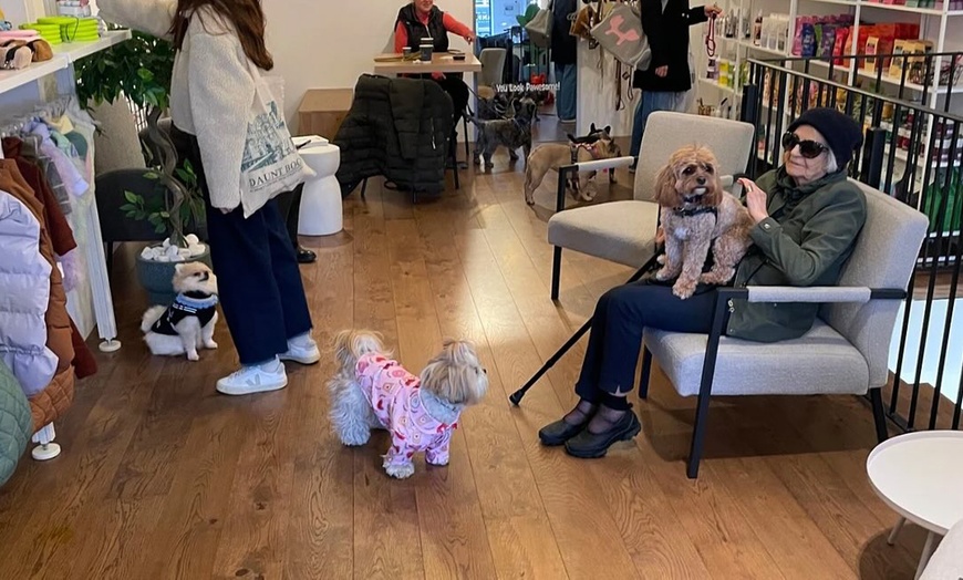 Image 19: Enjoy Dog Cafe Fun With a Drink for Up to Four in Kensington