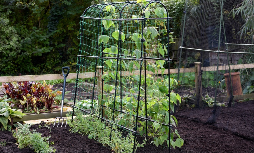 Image 2: 1.8m x 1.8m Garden Pea and Bean Tunnel