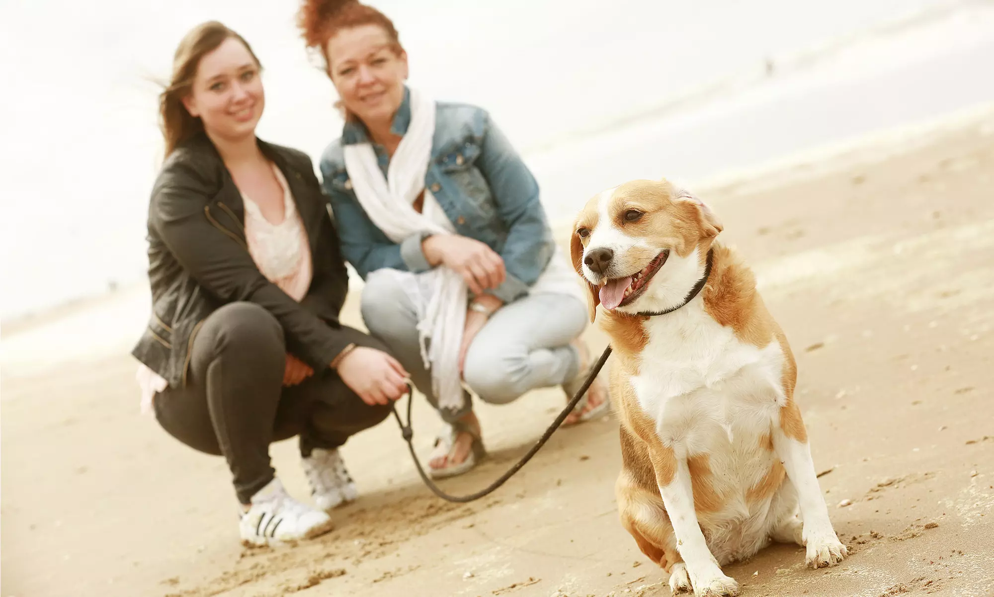 Fotoshoot voor maximaal 100 pers.