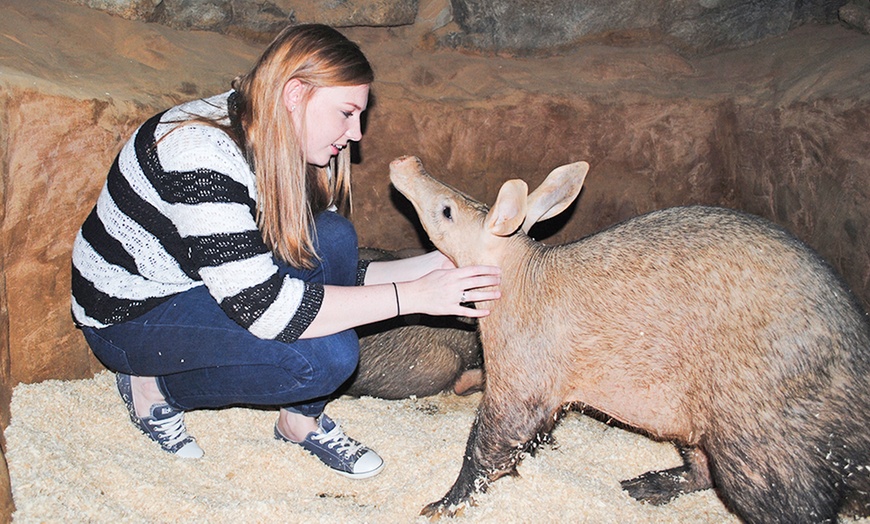 Image 1: Zoo keeper Shadowing Experience  