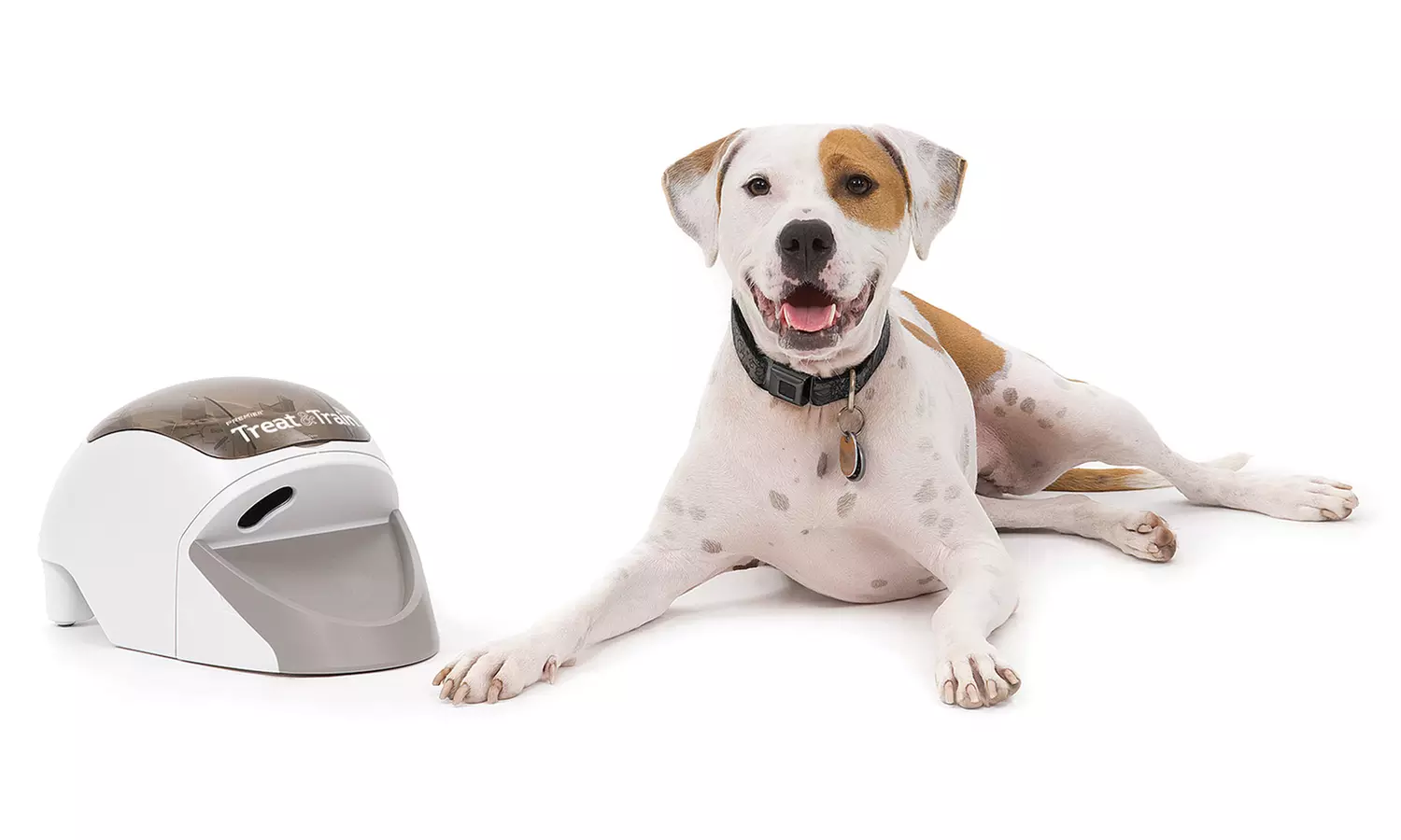 Treat & Train Remote Reward Dog Trainer by PetSafe - Primary Image