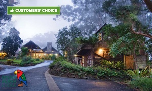 Gold Coast Lamington National Park: 2N Rainforest Escape