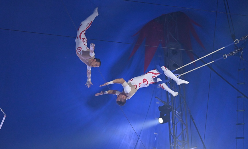 Image 4: 1 place pour le Cirque de Noël de Toulouse 