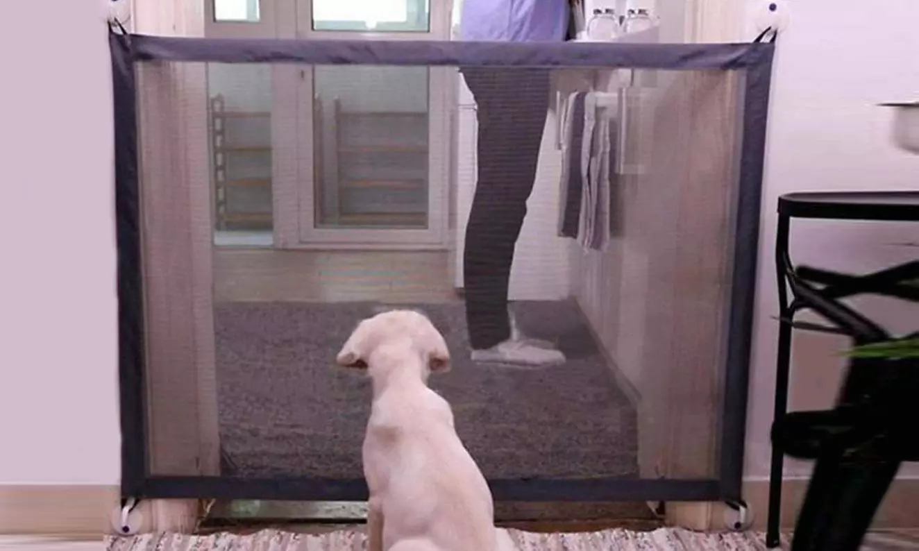 Fino a 4 reti di protezione per cani con ganci autoadesivi - Image 2