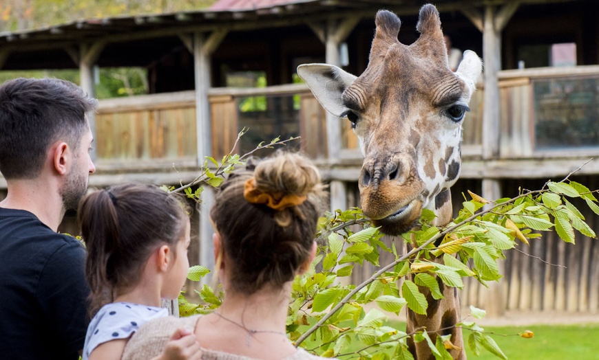 Image 11: Billet adulte ou enfant pour le Zoo d'Amneville