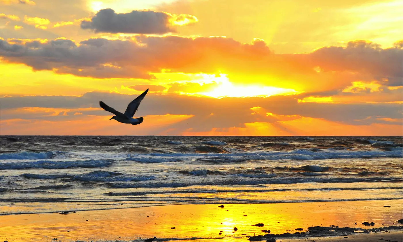 2-7 nocy ze wyżywieniem, strefa spa i opcjonalne zabiegami w Grzybowie