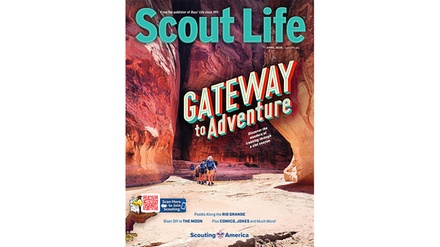One-Year subscription to Scout Life - Blue Dolphin Magazines