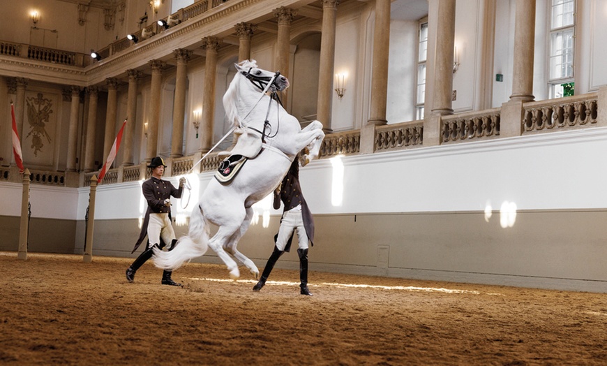 Image 2: Grab Your Tickets to the Most Majestic Horse Show in the UK