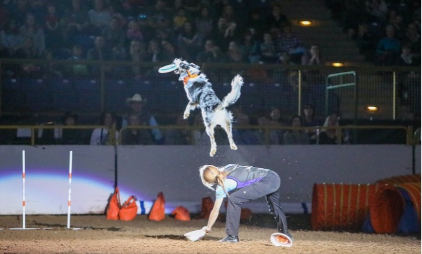 The National Western Stock Show 2024 In Denver CO Groupon   C870x524 