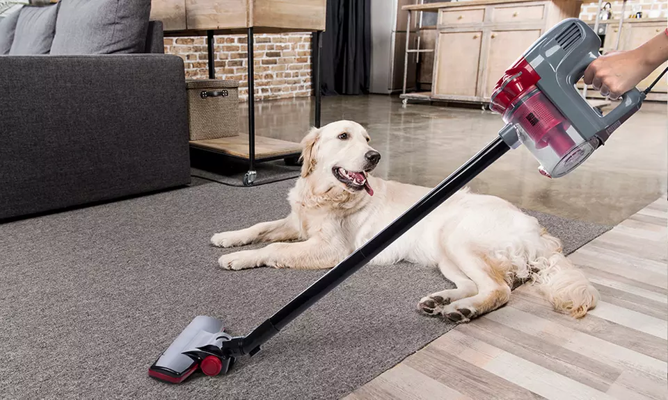 Aspirador ciclónico con filtro Hepa - Primary Image