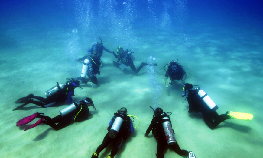 Image 4: PADI Scuba Diver or Open Water Course