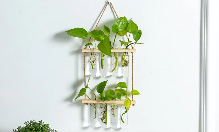 Image 3: Test Tube Hydroponic Vases in Two-Layer Frame