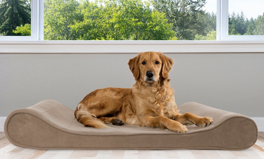 Contoured Orthopedic Pet Bed Lounger Groupon