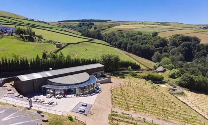 Vineyard Tour with Wine Tasting & Afternoon Tea for up to 4 People