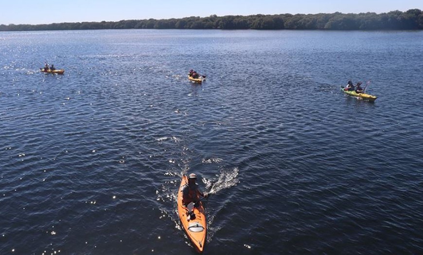 Image 2: 3-Hr Dolphin Sanctuary Kayak Tour