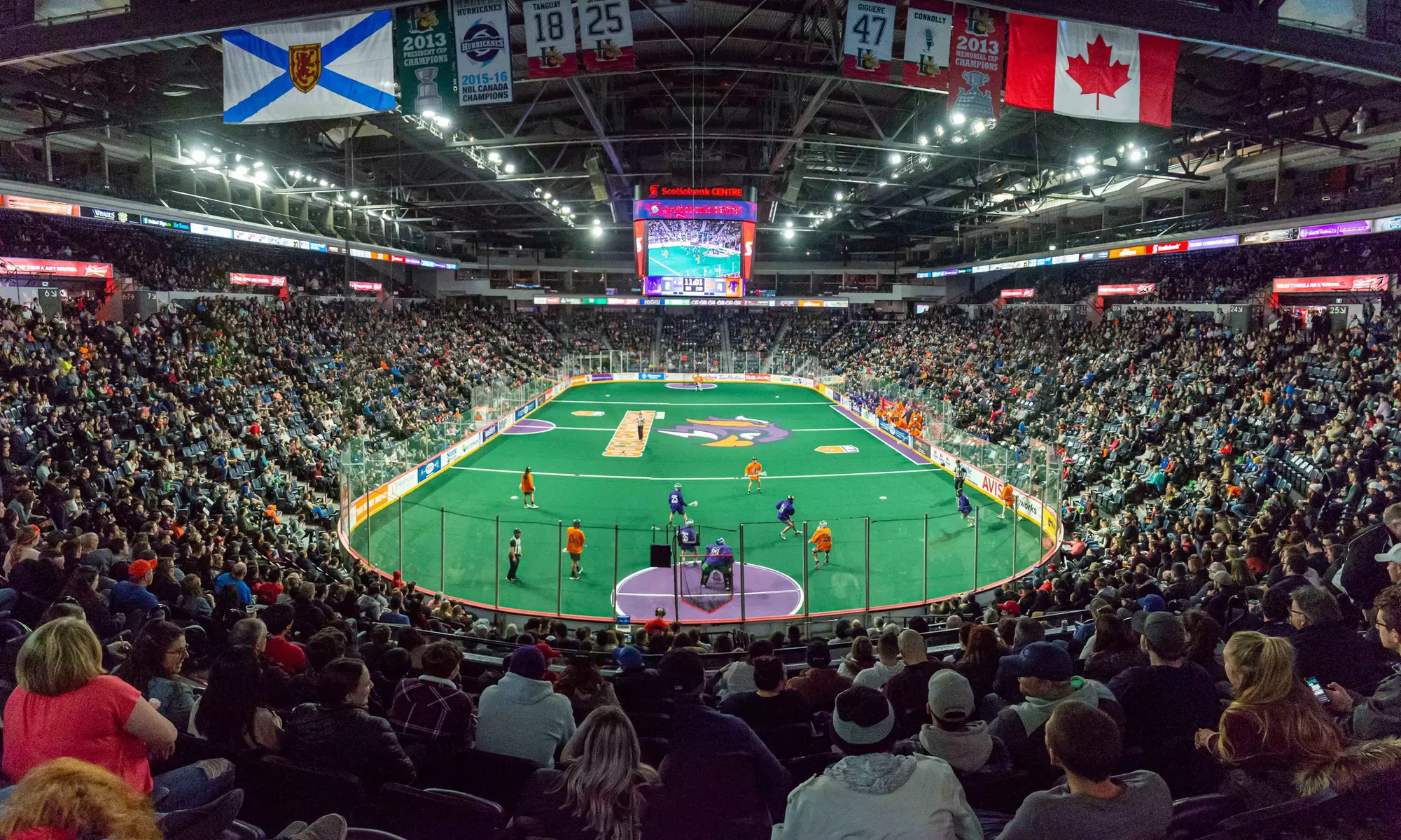 Halifax Thunderbirds Lacrosse (December 21–April 18) - Primary Image