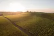 Wine Tasting and Cheese Plate for Two, Four, or Six at Coria Estates (Up to 38% Off) - Second Medium