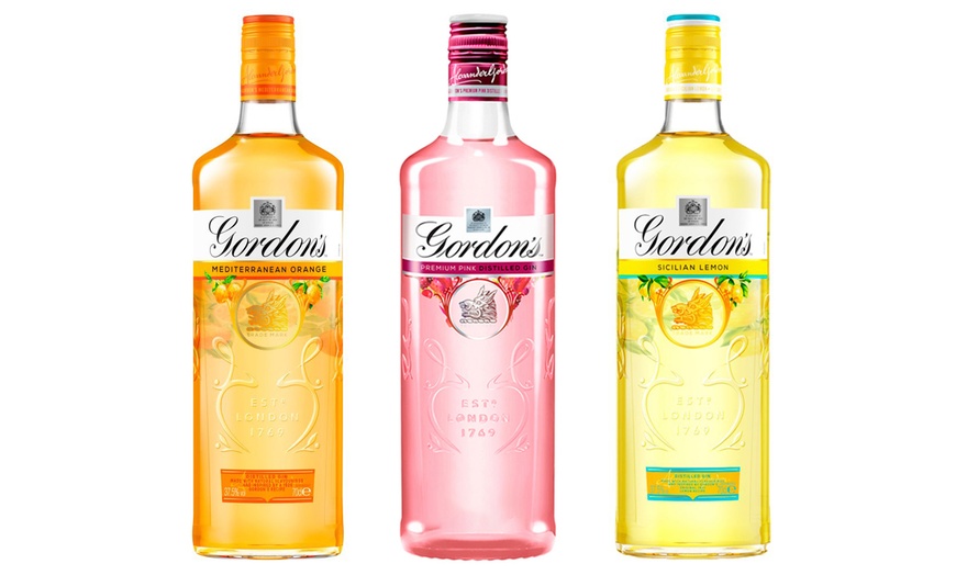 Image 1: Gordon's Gin Bundle