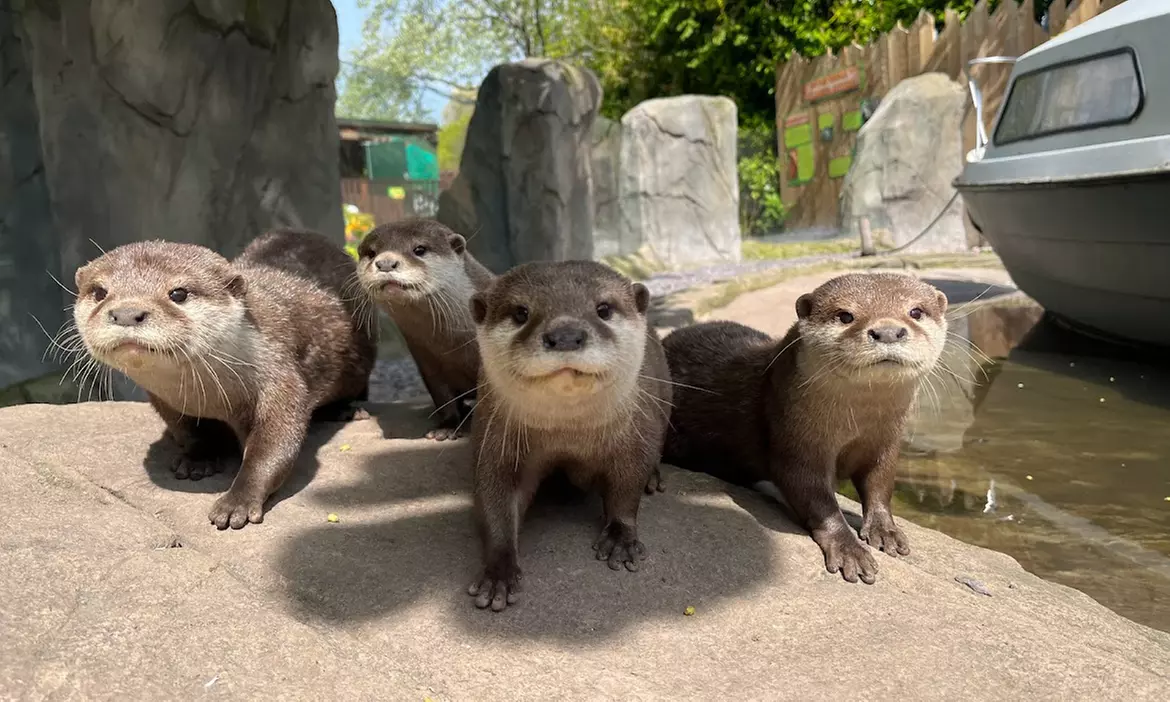 Embark on a Wild Adventure at Up to 58% Off at Exotic Zoo!