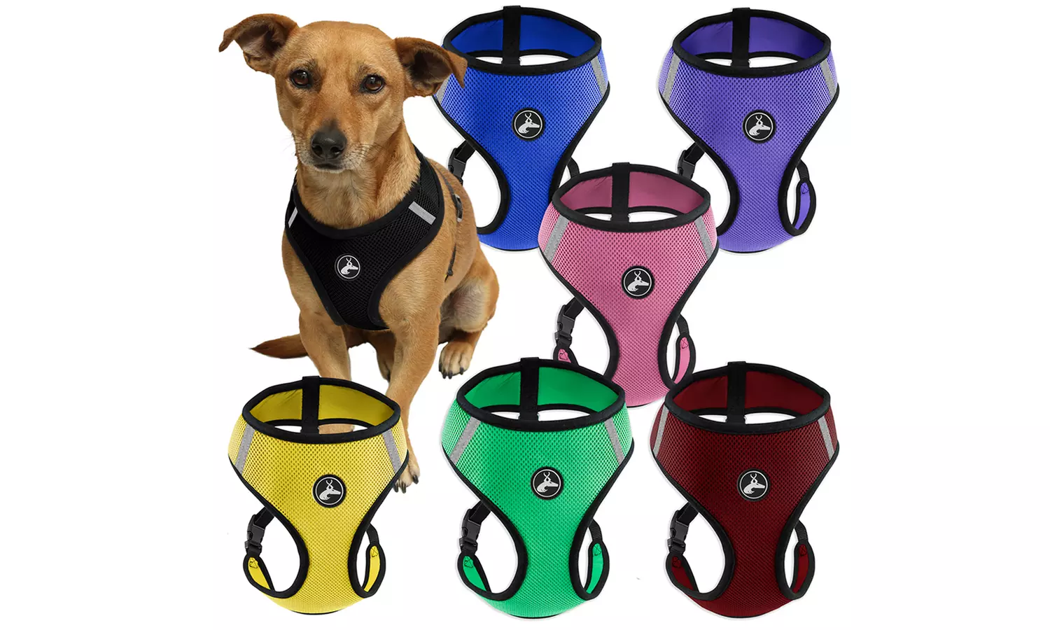 Soft Comfort Control Dog or Cat Pet Harness - Primary Image