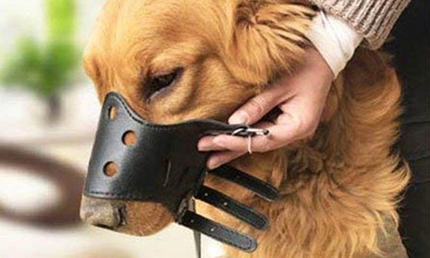 Image 10: Adjustable Dog Muzzle