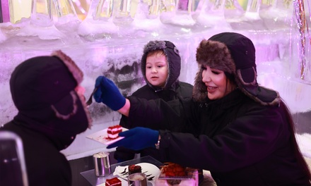 For One Child: General Admission to the Ice Lounge