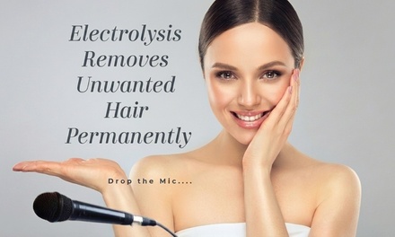 One 30-minute Electrolysis Session - South County Microspa