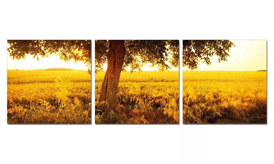 Wall-Mounted Photography Prints - Second Medium