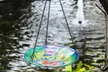 Hanging Glass Bird Feeders - Second Medium