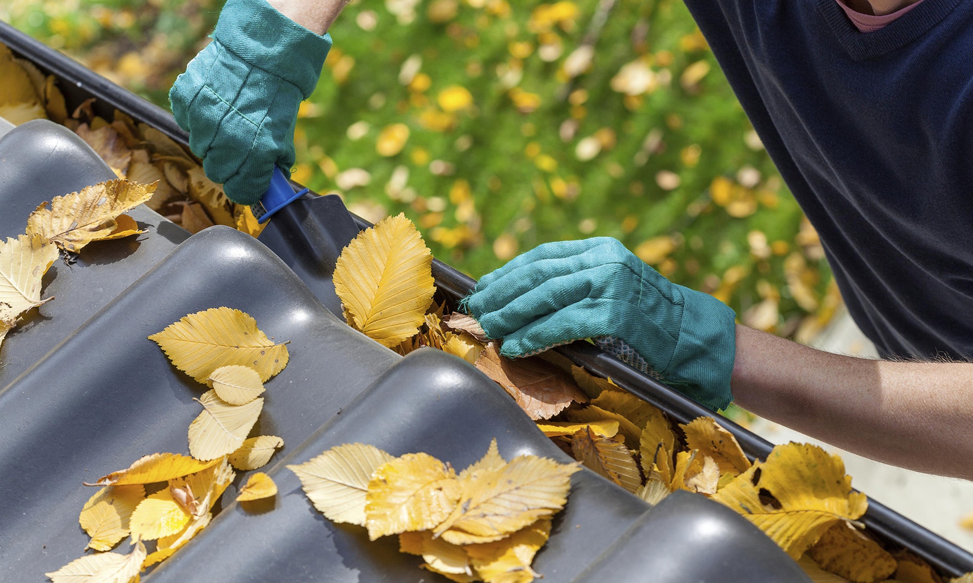 Up to 30% Off on Gutter Cleaning at She cleans
