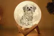 Personalized 3D Moon Lamp: Customizable, LED Light, Perfect Gift for Friends, Family, and Loved Ones (Save 87%) - Image 2