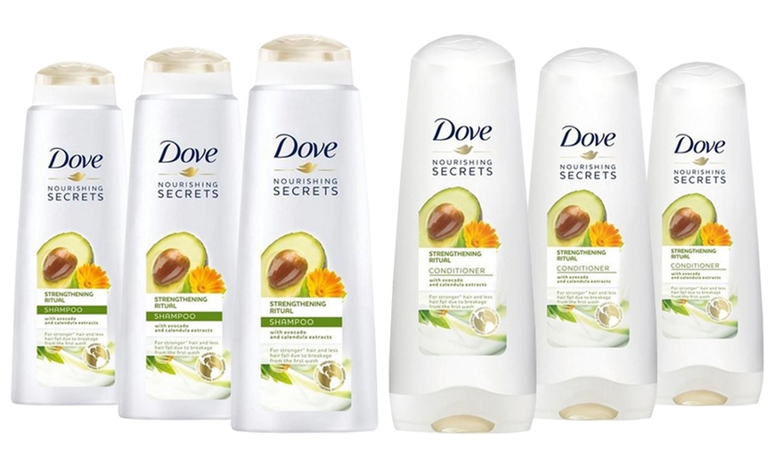 Image 7: Dove Shampoos and Conditioners