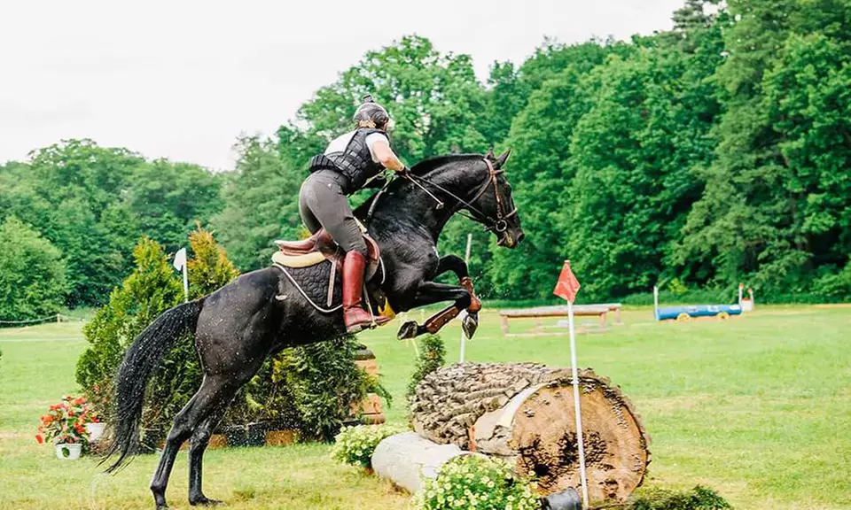 Nauka jazdy konnej dla dzieci i dorosłych w malowniczej scenerii