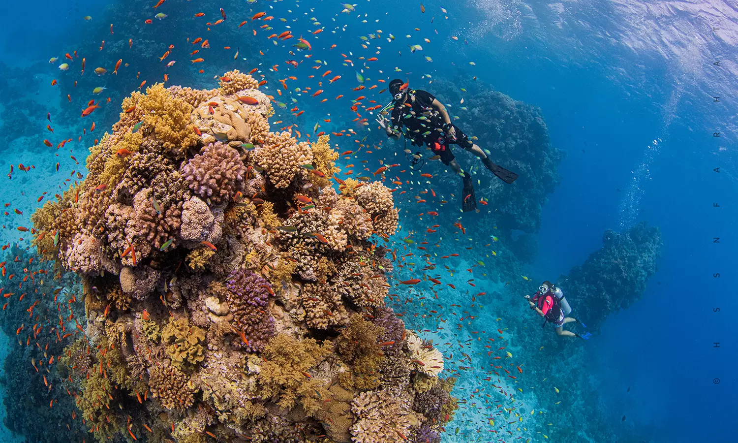 Discover Scuba Diving Experience for One or Two People with Extreme Water Sports - Primary Image