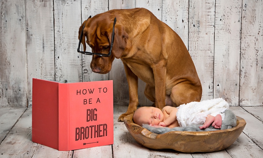 Image 3: Newborn Photoshoot with Prints