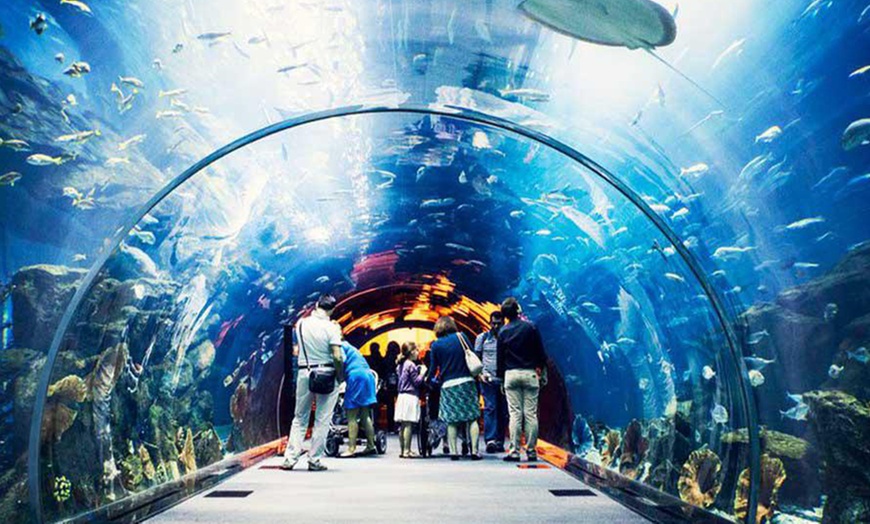 Image 11: Explore Dubai’s Lost Chambers Aquarium: Tickets for One, Two, or Four