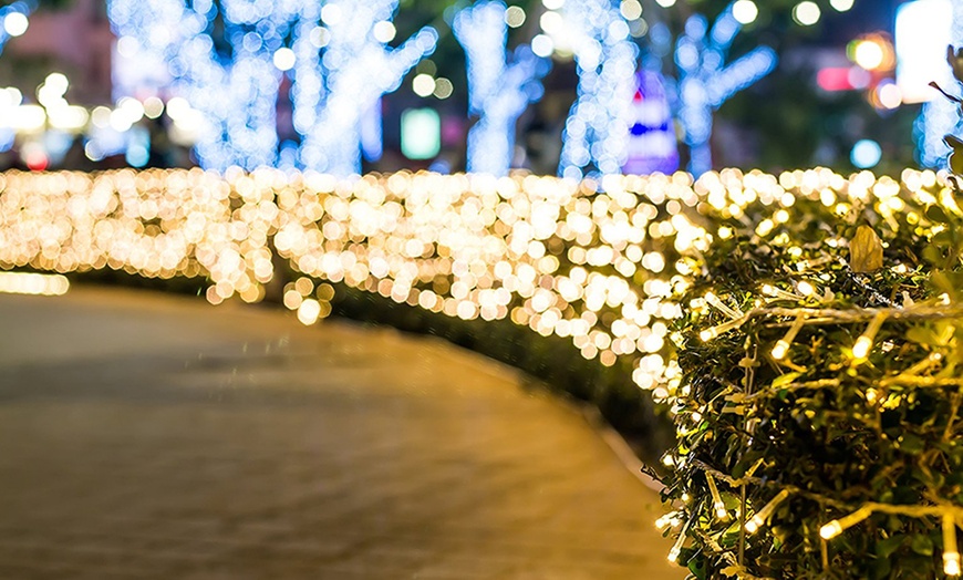 Image 6: Solar LED Light Garland